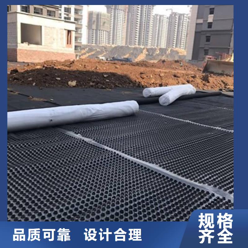 塑料排水板-【钢塑土工格栅厂家】供应采购 亿路通新材料(三亚市分公司)