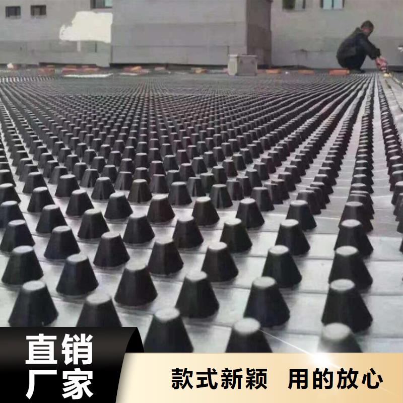 塑料排水板三维土工网垫对质量负责