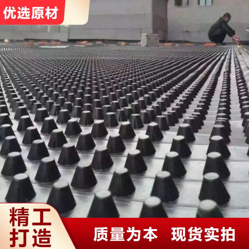 塑料排水板三维土工网垫售后服务完善