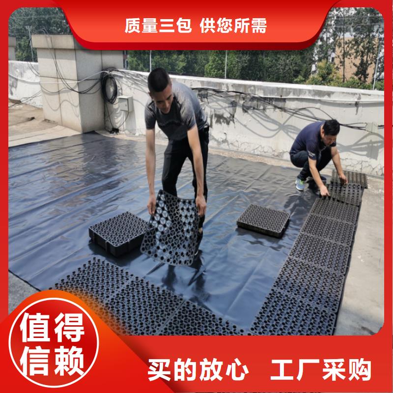 玻璃纤维土工格栅视频-玻璃纤维土工格栅|阜新市|细河|太平|抚顺|朝阳|锦州|铁岭|本溪