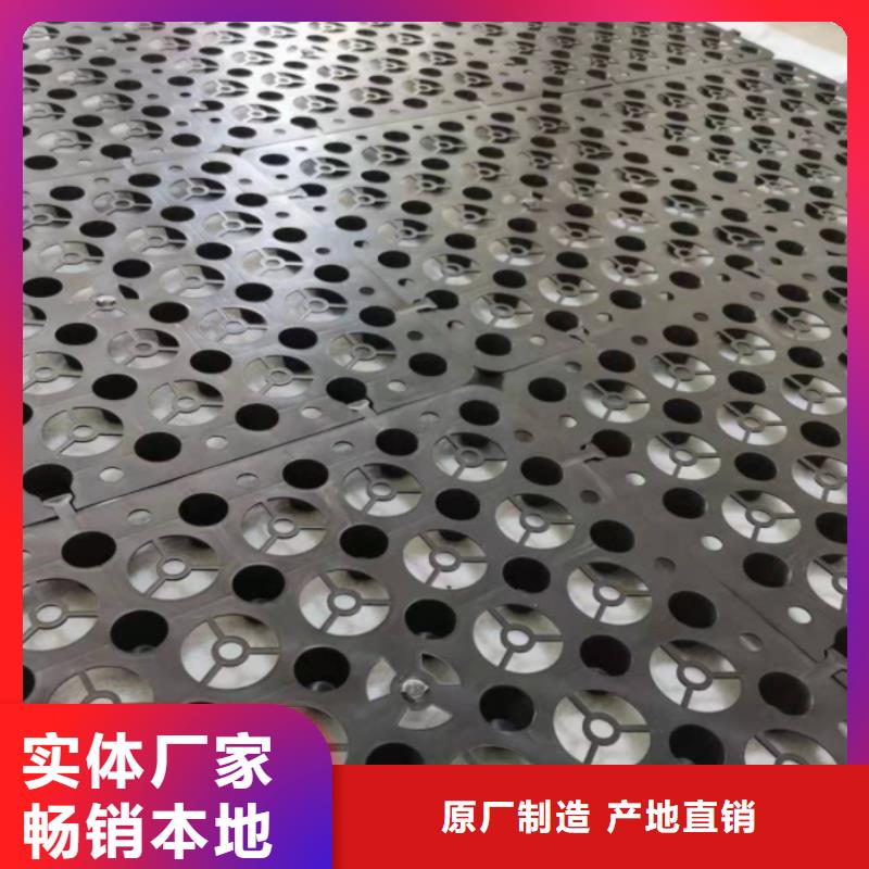 塑料排水板三维植被网厂家批发货源