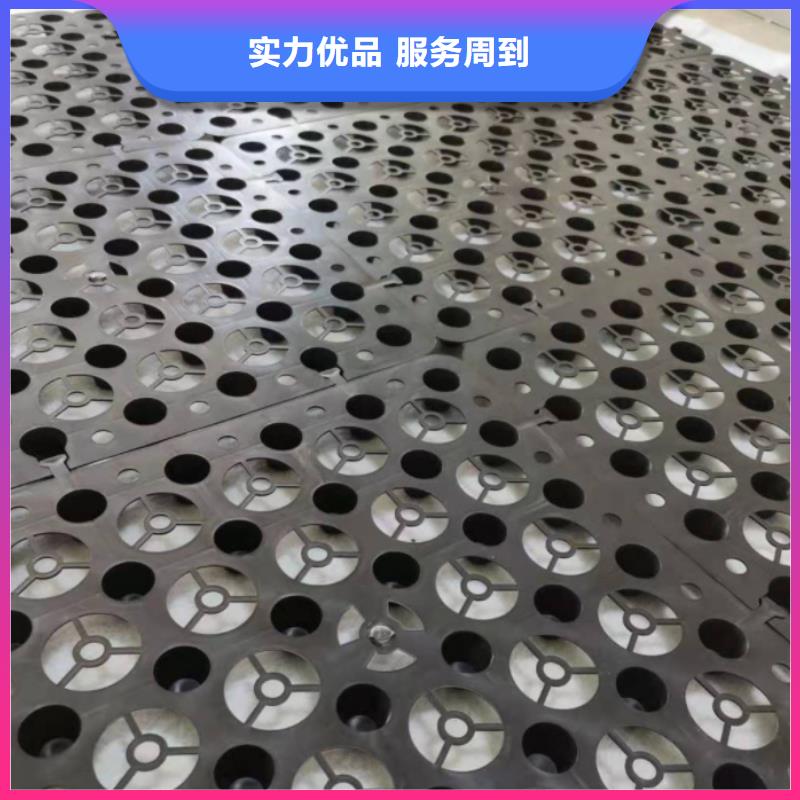 玻璃纤维土工格栅视频-玻璃纤维土工格栅-甘肃省临夏市广河|和政|武威|庆阳|平凉|定西|兰州(同城)经销商