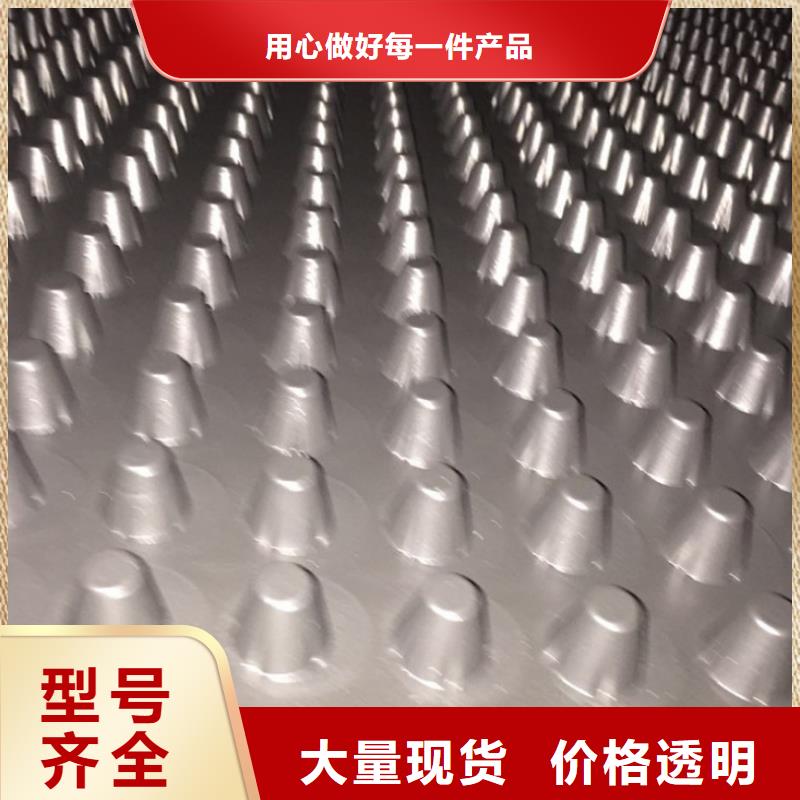 【塑料排水板】,土工布批发专注质量-亿路通新材料(阜新市分公司)-诚信商务网