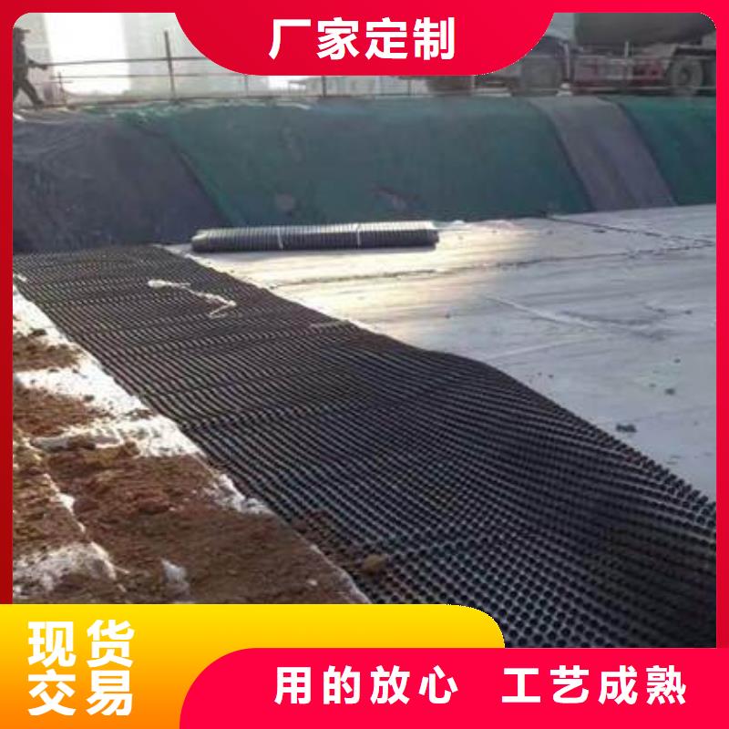 塑料排水板三维植被网厂家批发货源