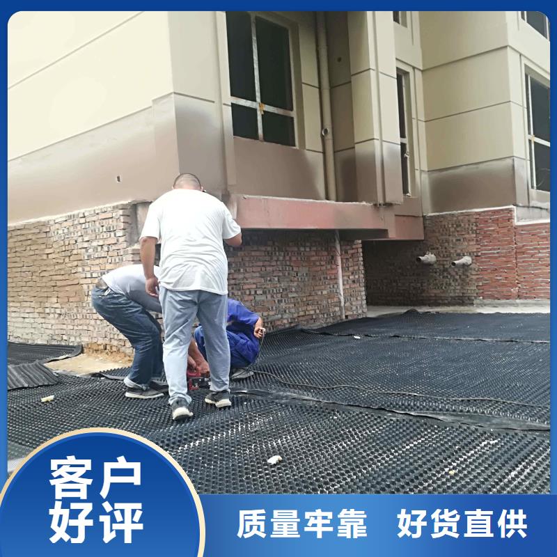 塑料排水板复合土工膜好货直供