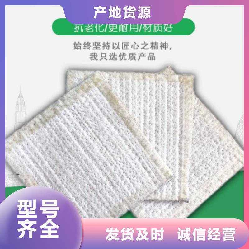 防水毯HDPE土工膜快捷物流