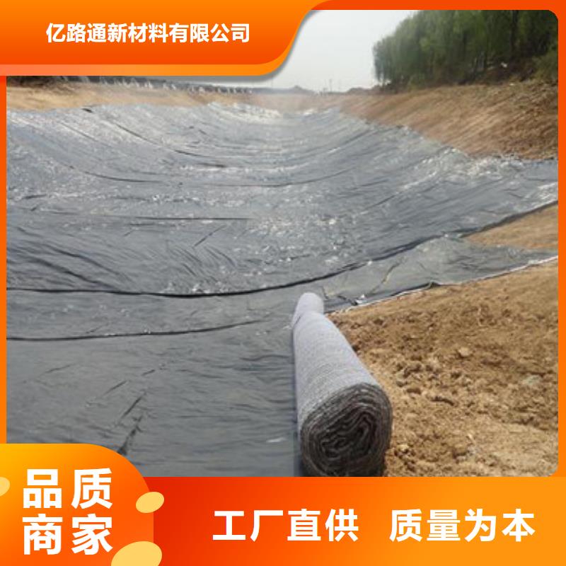 防水毯,复合土工膜产地直供