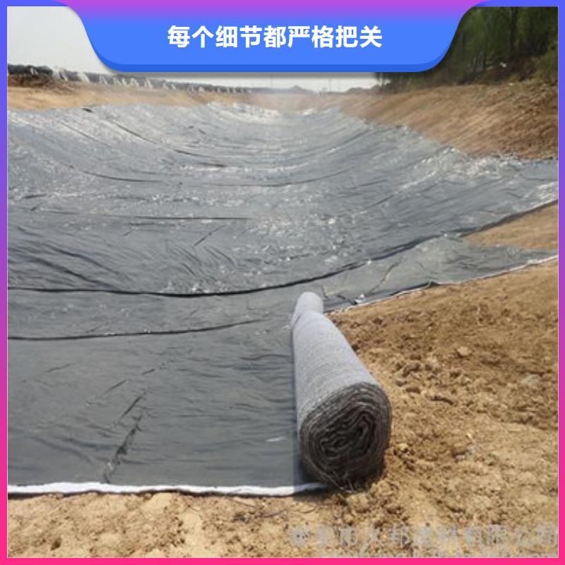 【 防水毯_三维水土保护毯诚信商家】亿路通玻璃纤维土工格栅