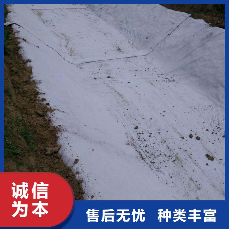 防水毯土工格室现货满足大量采购