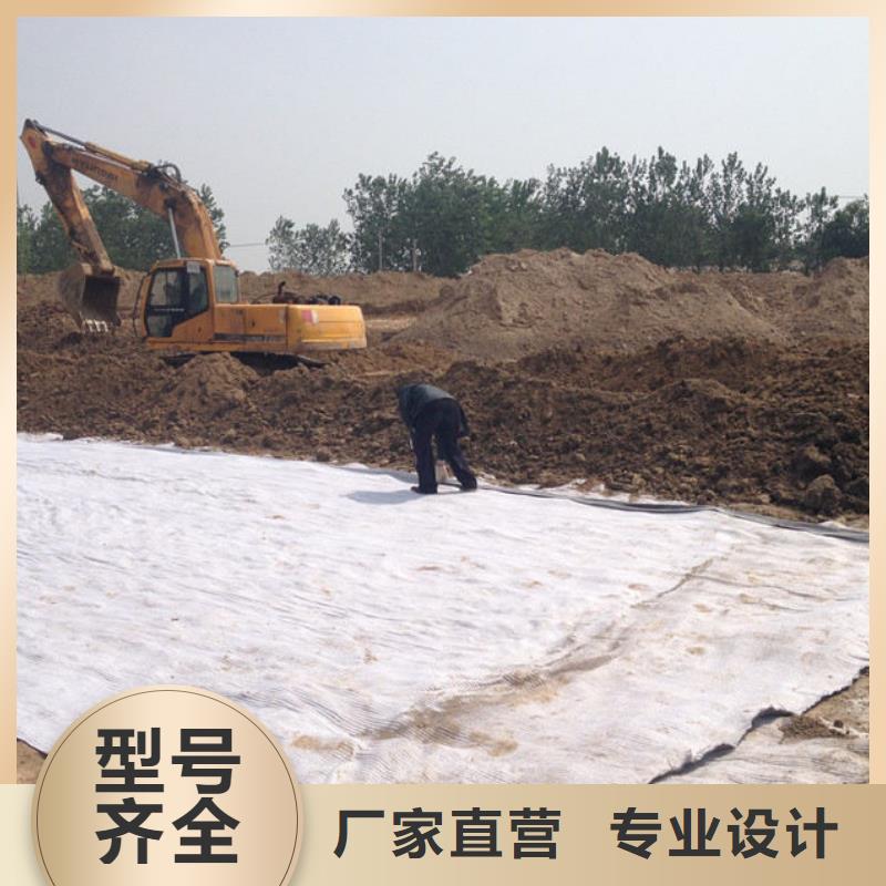 【 防水毯_三维水土保护毯诚信商家】亿路通玻璃纤维土工格栅