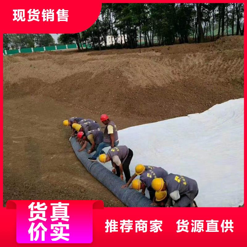 【 防水毯_三维水土保护毯诚信商家】亿路通玻璃纤维土工格栅