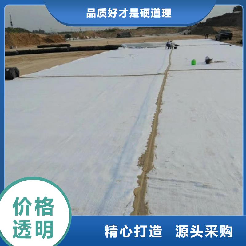 【 防水毯_三维水土保护毯诚信商家】亿路通玻璃纤维土工格栅