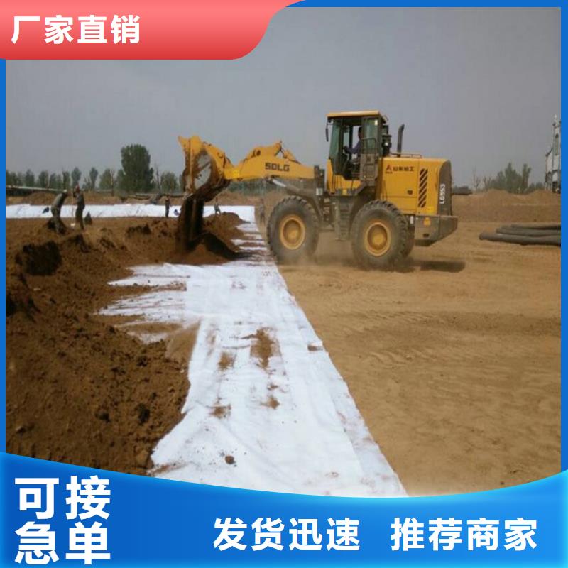 玻璃纤维土工格栅视频-玻璃纤维土工格栅|菏泽市|单县|成武|东营|日照|枣庄|济南|泰安|潍坊