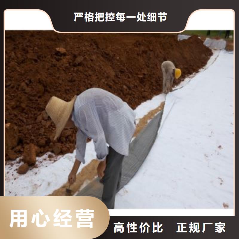 玻璃纤维土工格栅视频-玻璃纤维土工格栅|菏泽市|单县|成武|东营|日照|枣庄|济南|泰安|潍坊