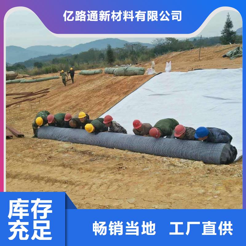 【 防水毯_三维水土保护毯诚信商家】亿路通玻璃纤维土工格栅
