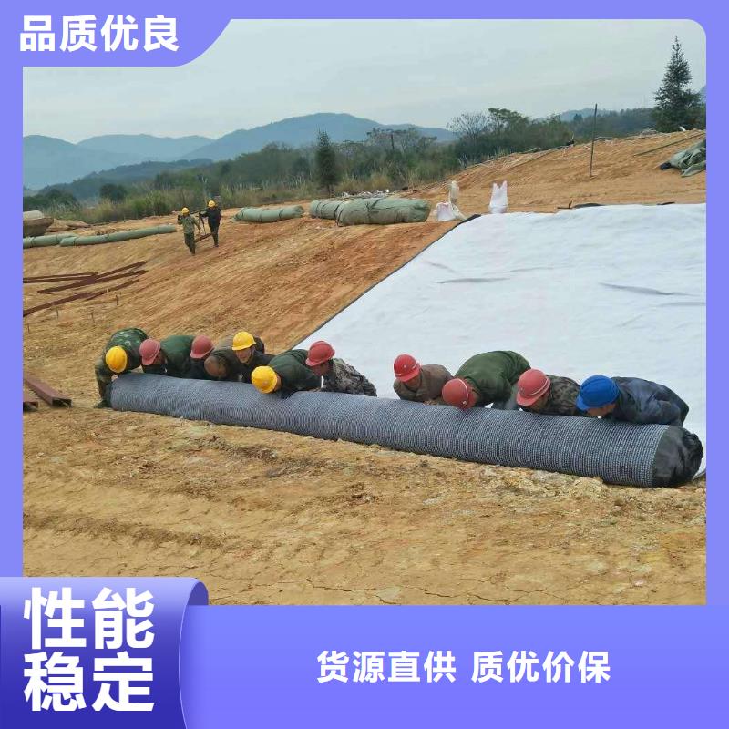 防水毯土工格室现货满足大量采购