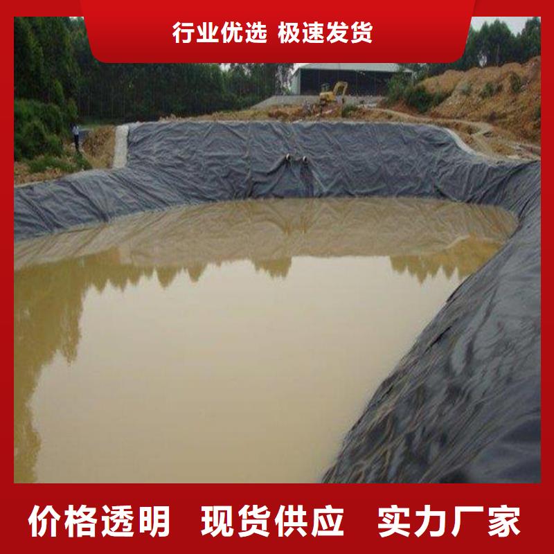 土工膜钢塑土工格栅支持批发零售