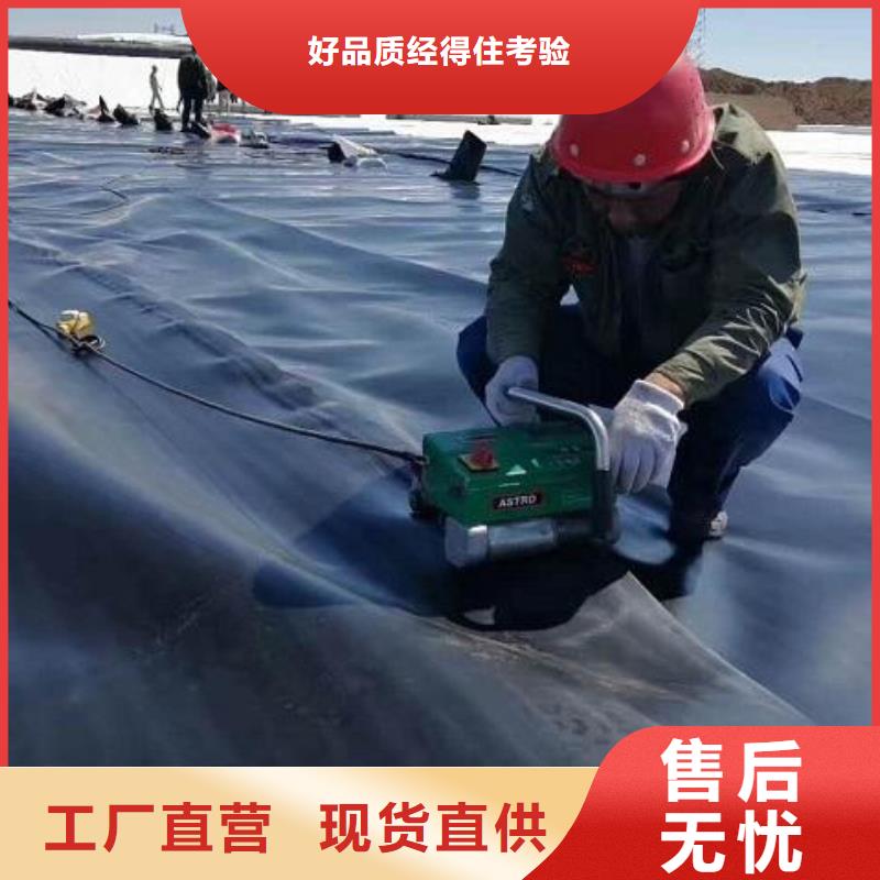 土工膜钢塑土工格栅支持批发零售
