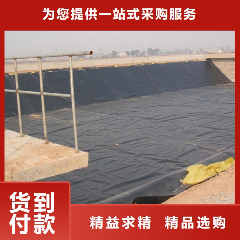 土工膜凸结点钢塑土工格栅厂家直营
