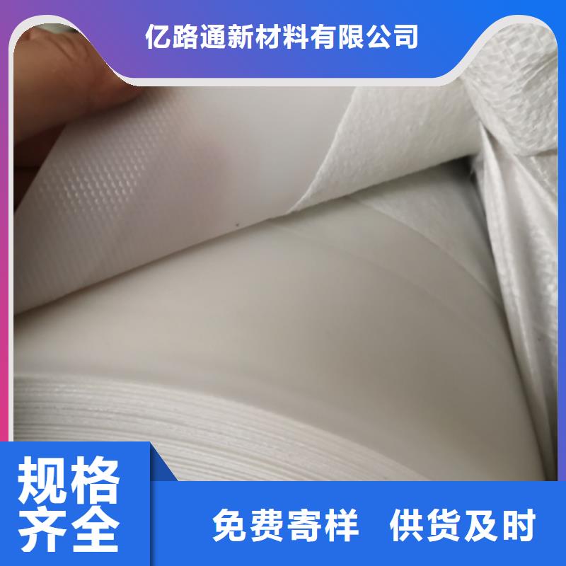 土工膜钢塑土工格栅支持批发零售