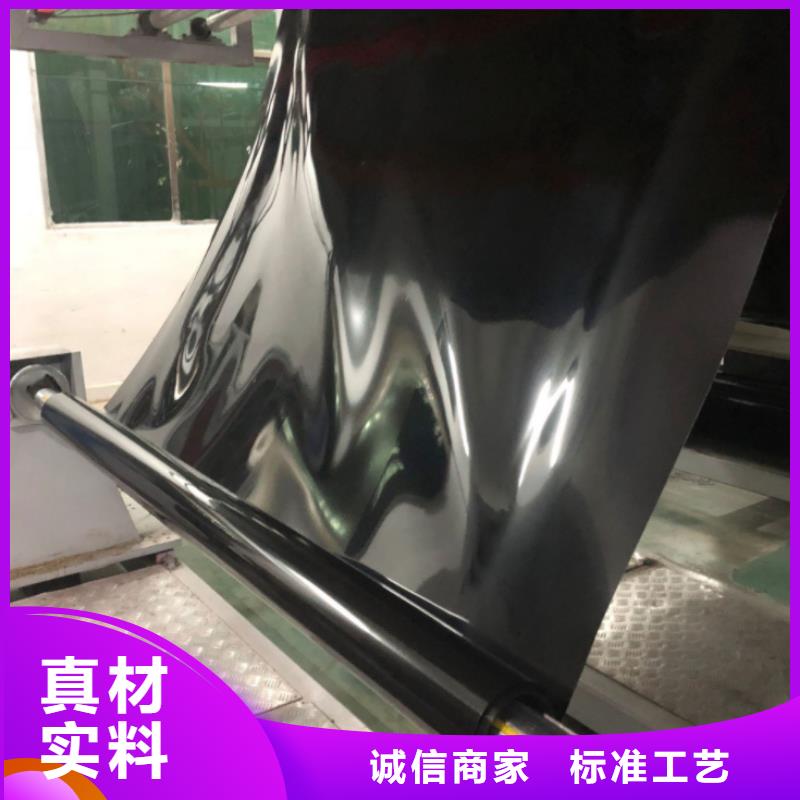 土工膜凸结点钢塑土工格栅厂家直营