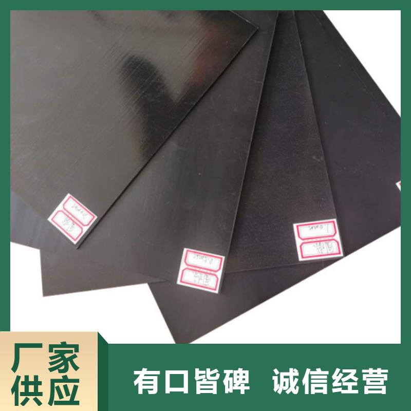 土工膜钢塑土工格栅支持批发零售