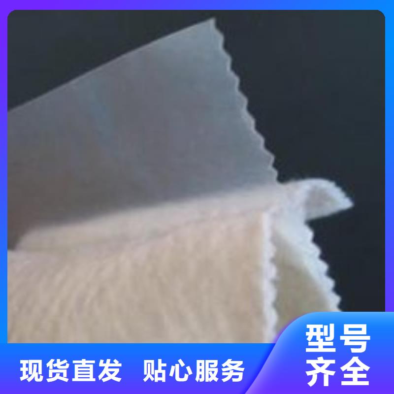 土工膜护坡土工网专业生产N年
