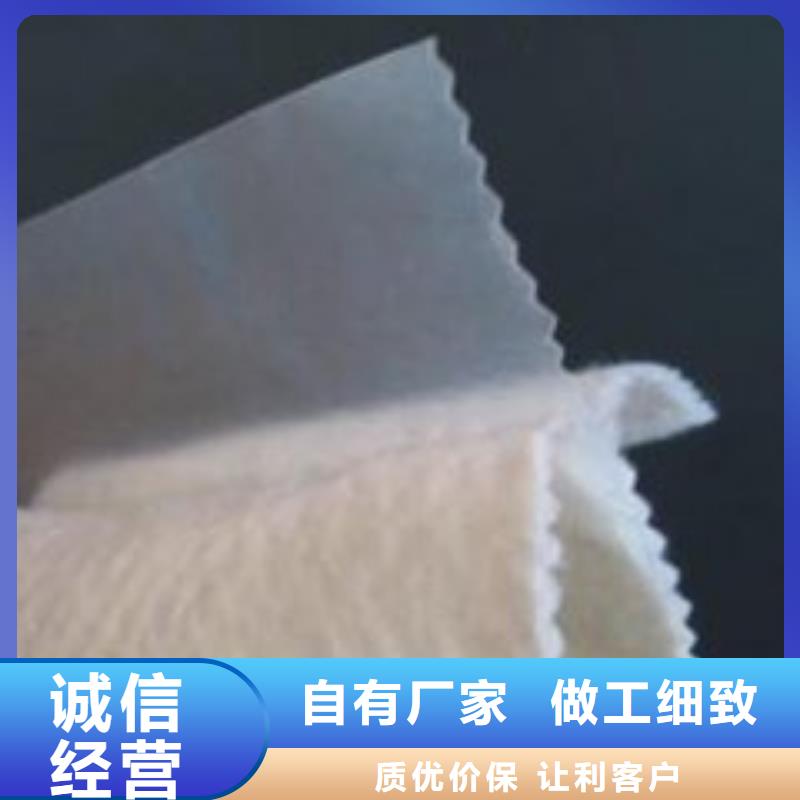 土工膜_三维植被网厂家细节严格凸显品质