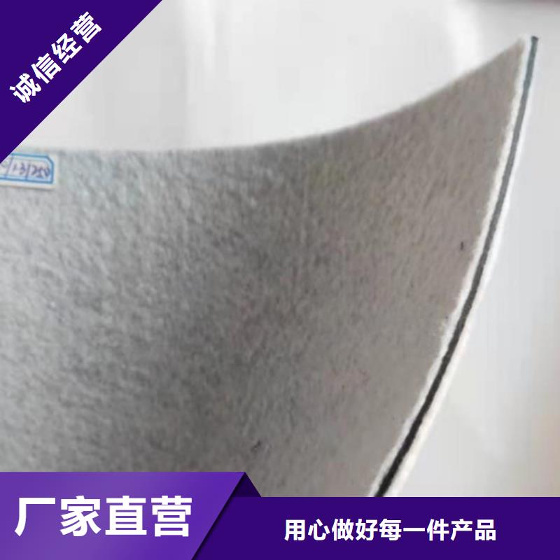 土工膜-土工布-HDPE土工膜-防渗膜厂家