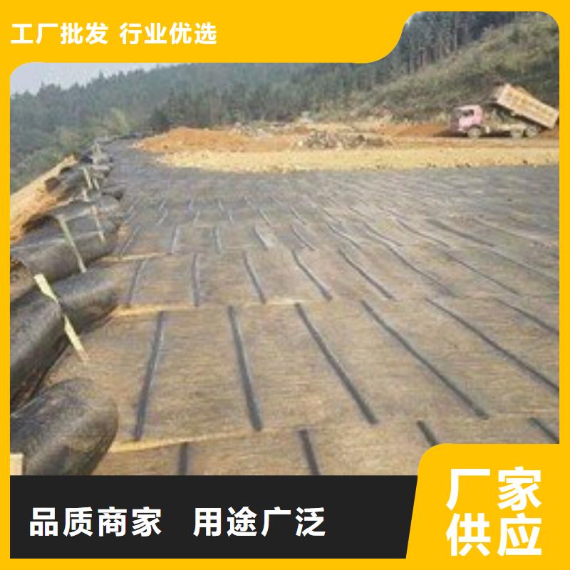 土工格栅三维土工网垫支持定制批发