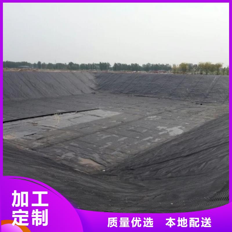 土工格栅三维土工网垫支持定制批发