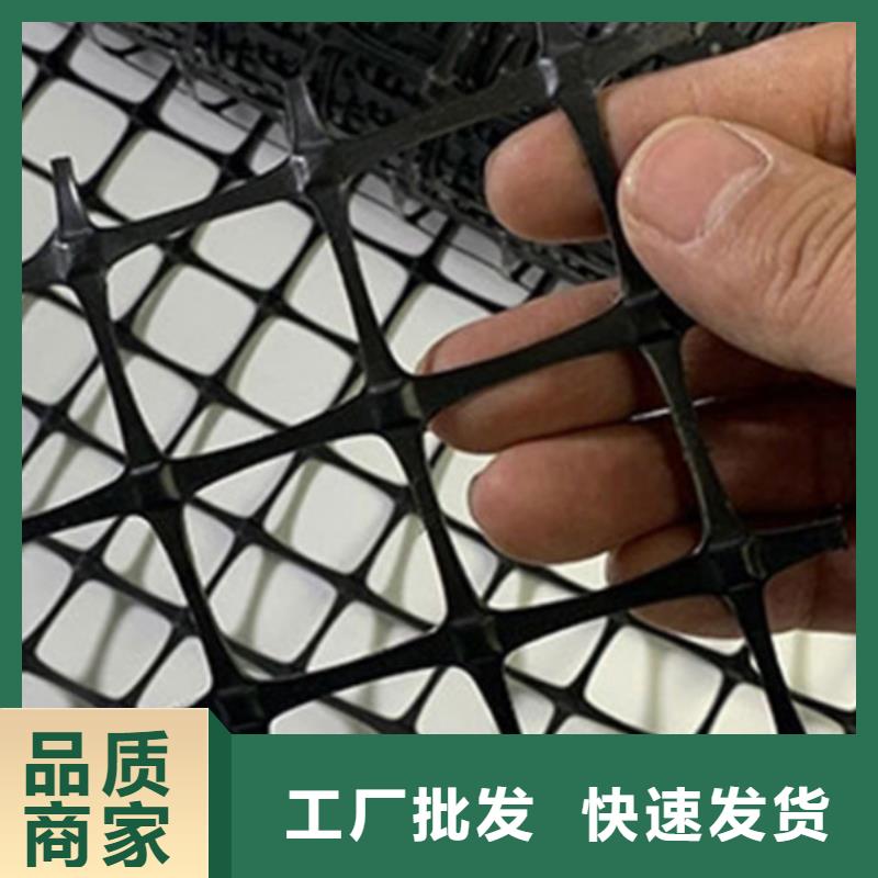 土工格栅钢塑土工格栅就近发货