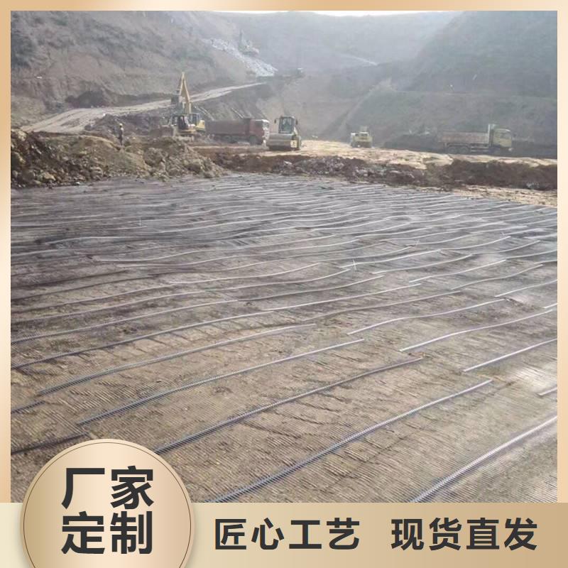 土工格栅三维土工网垫支持定制批发