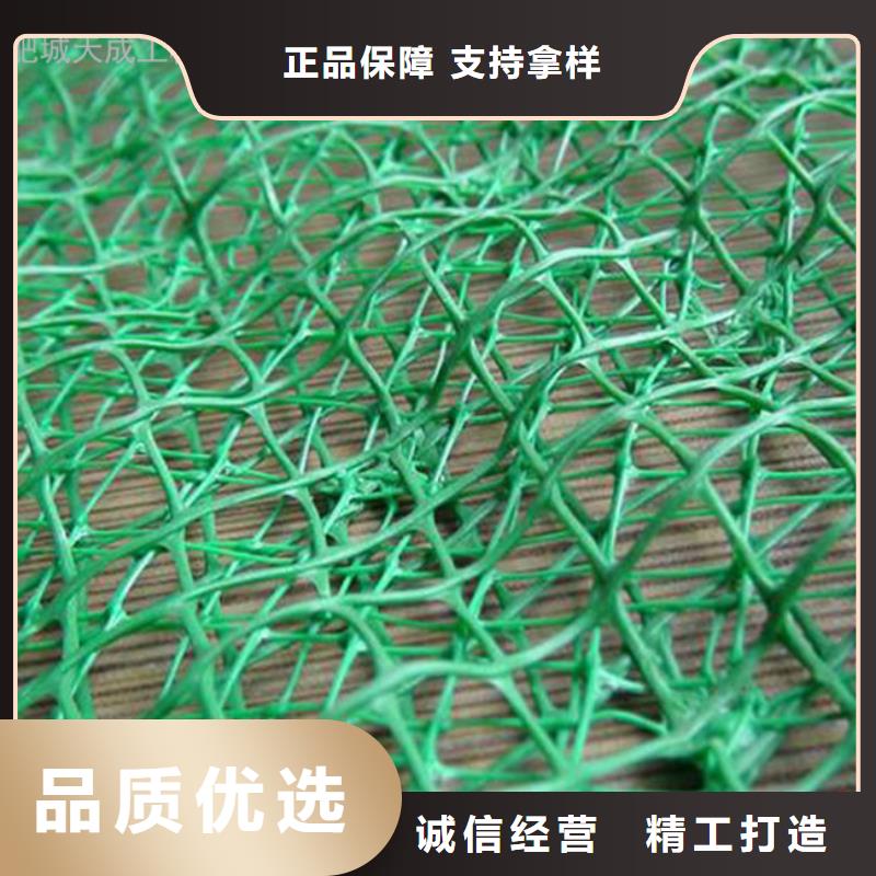 三维植被网HDPE土工膜厂家案例