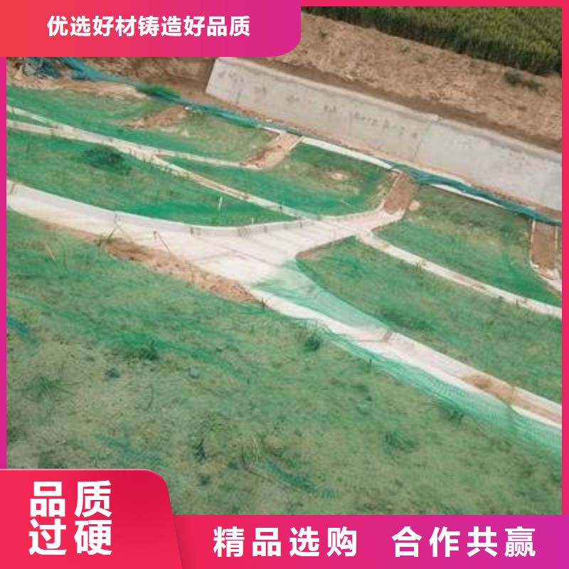 三维植被网土工布工期短发货快