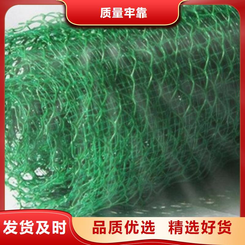 三维植被网HDPE土工膜厂家案例