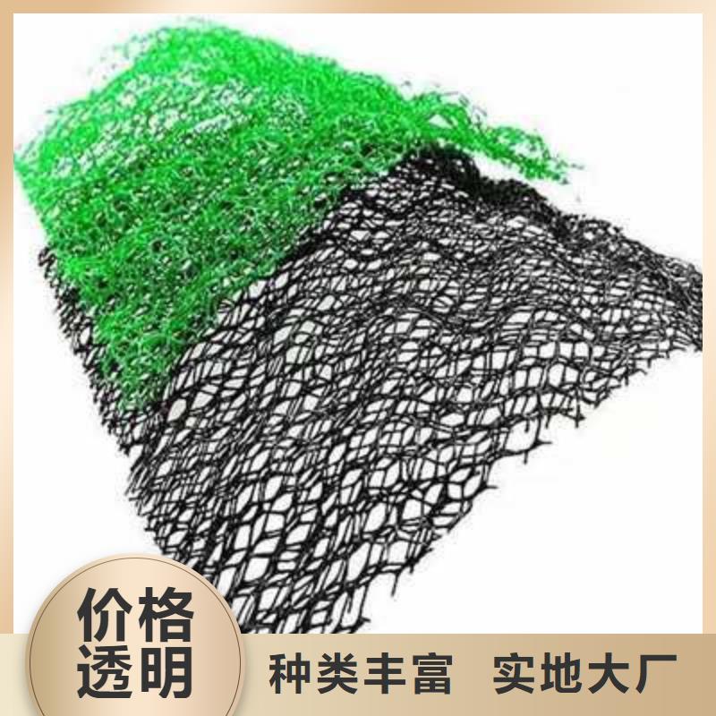 三维植被网三维植被网厂家价格透明