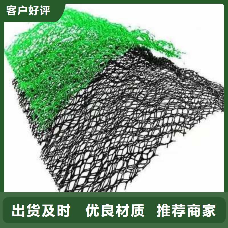 三维植被网土工布货源充足