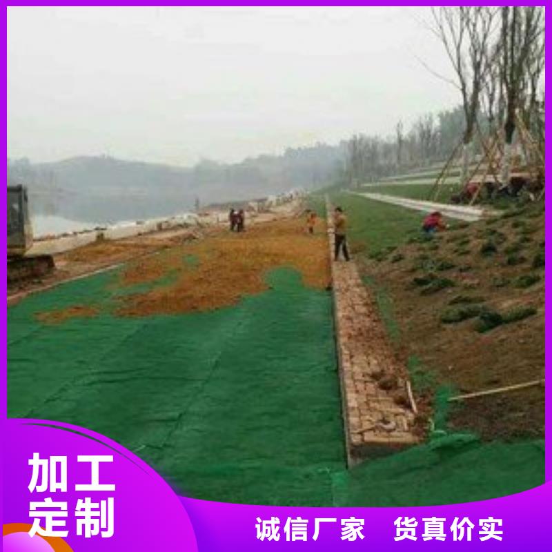 玻璃纤维土工格栅视频-玻璃纤维土工格栅(亿路通)覆盖地域广东省肇庆市端州|德庆|东莞|汕头|江门|中山|珠海
