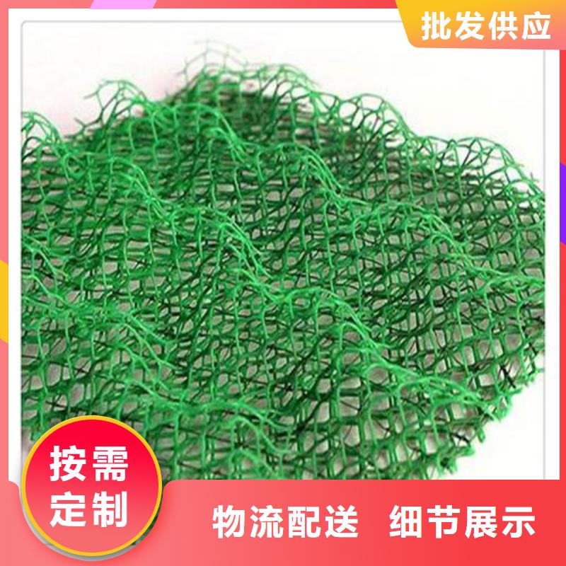 三维植被网,土工格室N年生产经验