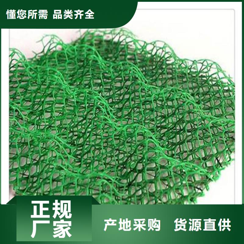三维植被网土工布货源充足