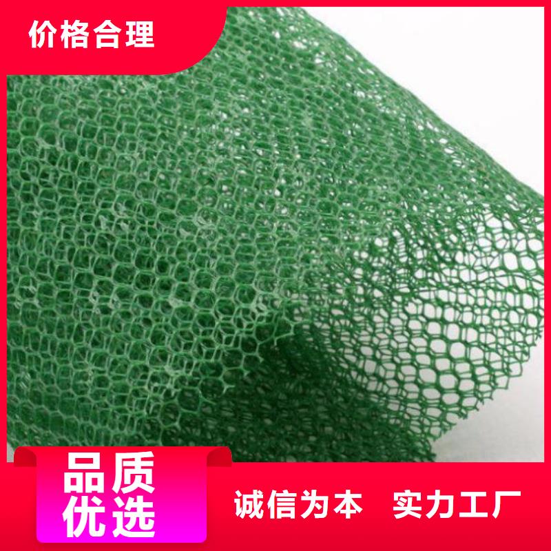 三维植被网土工布工期短发货快