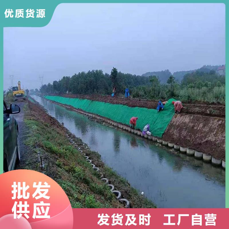三维植被网土工布货源充足
