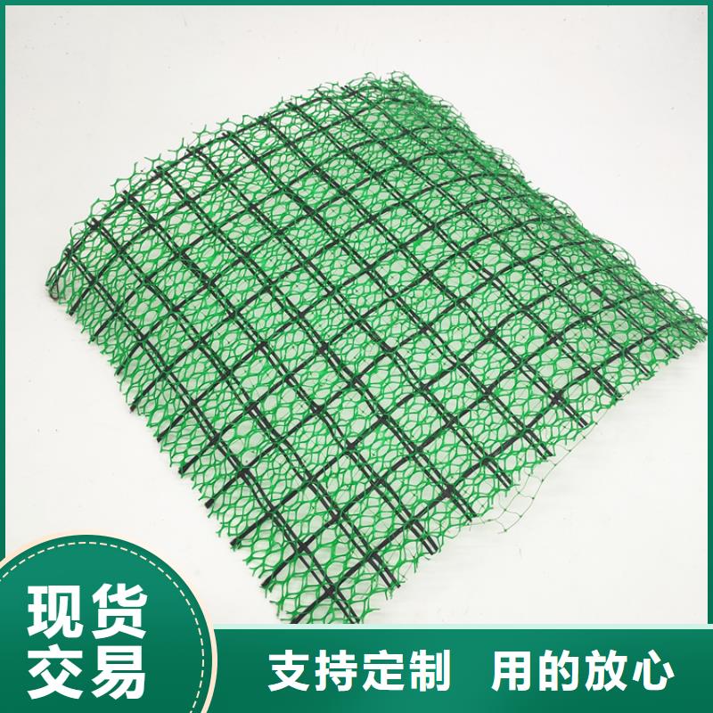 三维植被网三维土工网垫设计制造销售服务一体