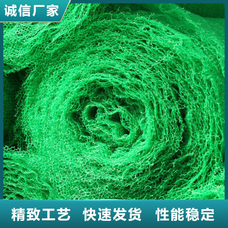 三维植被网三维植被网厂家价格透明