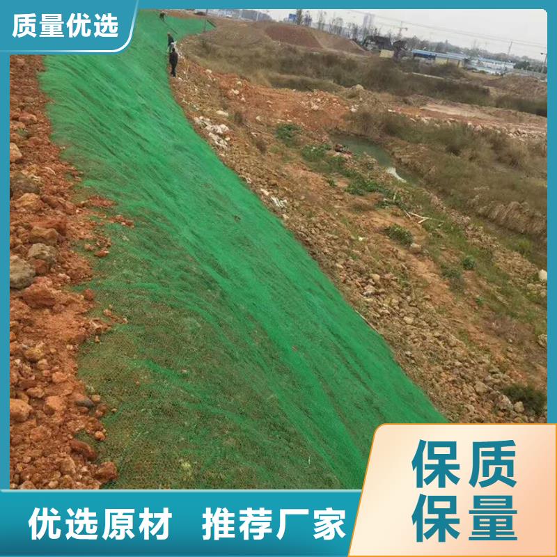 三维植被网三维植被网厂家价格透明