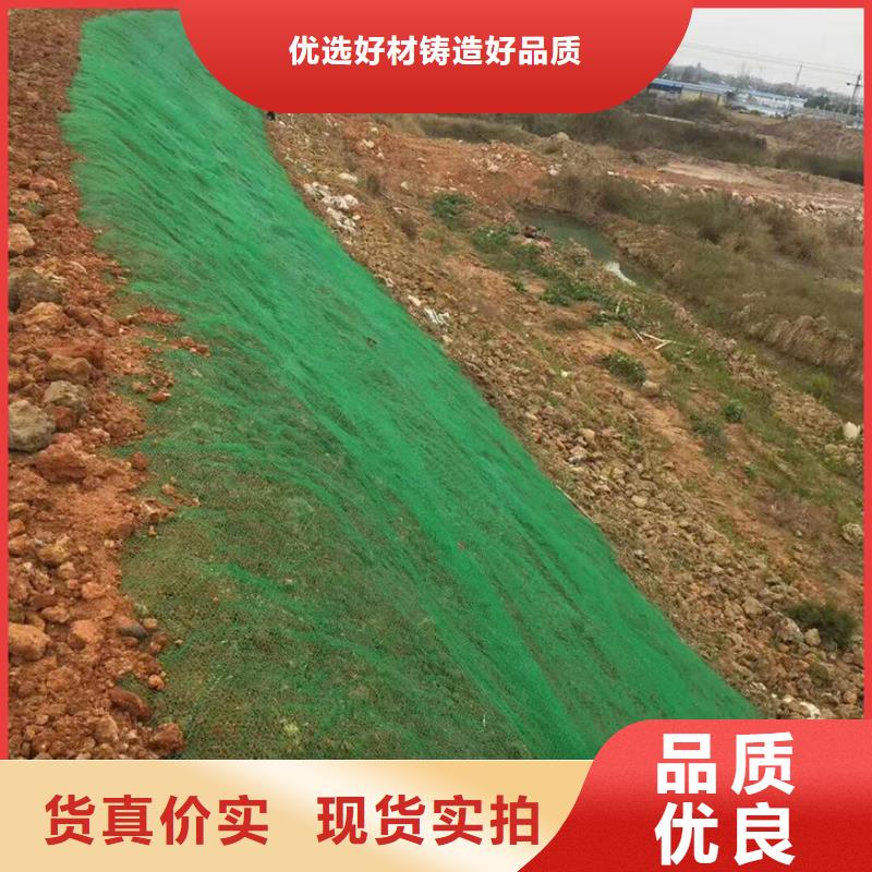 玻璃纤维土工格栅视频-玻璃纤维土工格栅|台州市|三门|天台|杭州|湖州|丽水|舟山