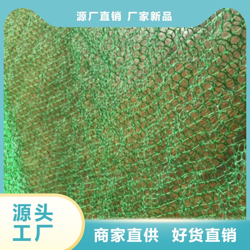 三维植被网,土工格室N年生产经验