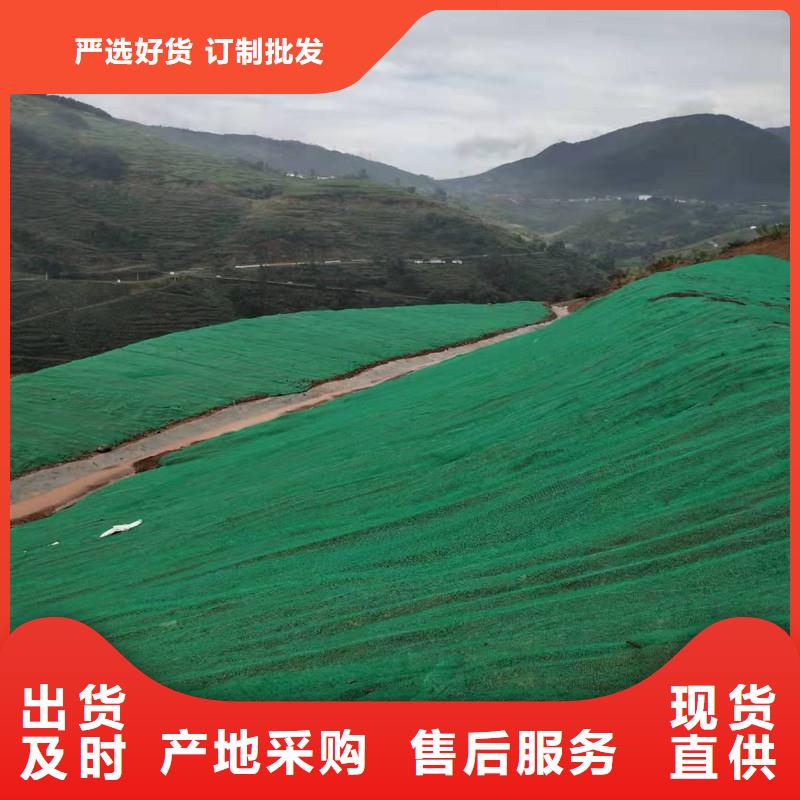 三维植被网HDPE土工膜厂家案例