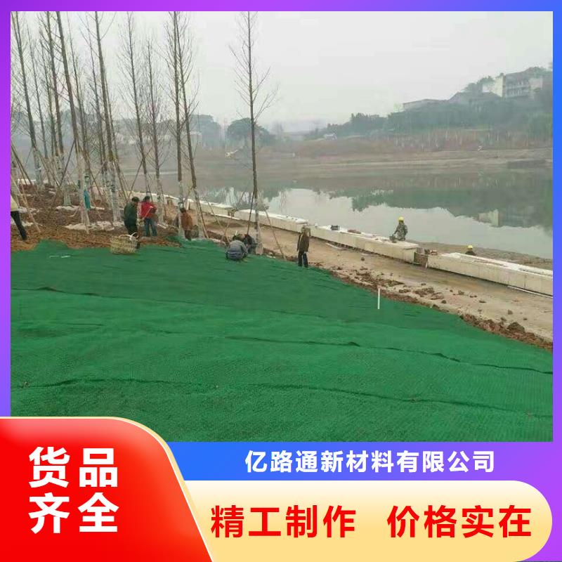 三维植被网玻璃纤维土工格栅源头厂家供应